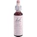 Bach White Chestnut (1 x 20 ML)