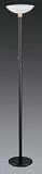 Black Compact Florescent Floor Lamp
