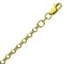 14k Yellow Gold 16 Inch X 3.2 mm Rolo Chain Necklace