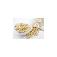Raw Pine Nuts 16 ounce (1 Pound Bag)