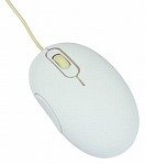 C[TvCY XC[c}EX piRb^zCg EM3PW