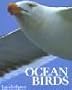 Ocean birds
