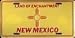 New Mexico License Plate