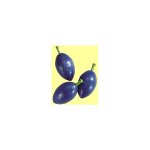 Plum