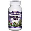 Olive Leaf Plus - 90 caps