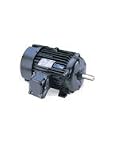 100hp 1780RPM 405T 208-230/460 Volts Explosion Proof Leeson Electric Motor # G825008