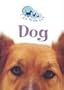 Dog (I Am Your Pet)