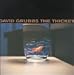 David Grubbs-The Thicket