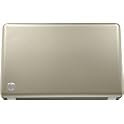 17.3" Laptop