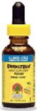 Brainstorm 1 Oz ( Alcohol Free Herbal Combinations ) - Nature's Answer