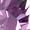 Lilac Mix