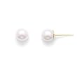 4.5-5mm AAA Akoya Pearls 14k Yellow Gold Earring