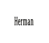 Clearly Charming Name Herman Stainless Steel Text Numbers Types Italian Charm Link