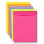 Wausau(R) Astrobrights(R) Bright Color Catalog Envelopes, 9" x 12in., Assortment #2 Pack Of 25