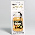 Pineapple Citrus Yankee Car Jar