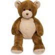 Astma allergie vriendelijke Buddy Bear