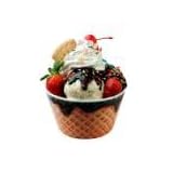 Gourmac Ice Cream Bowl Dinnerware Melamine Individual