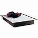South Shore Industries Contemporary Chocolate Collection Platform Bed with 2 Drawers