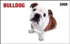 Bulldog In Your Face! 2008 Wallet Calendar