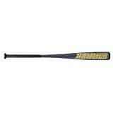 EASTON 34/31oz. BK2 HAMMER BASEBALL BAT