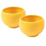 Chantal Livestrong Jasmine Tea Cups - Set of 2/L92-11J/2 YG
