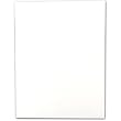 100 Fluorescent White #1 Corinne Cards