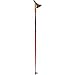 Sporting Goods : Rossignol Alutec Pole
