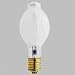 Mercury Vapor Bulb, 100 Watt