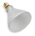 LumaPro 2PGX8 Lamp, Halogen, 60BR40/H/130, PK 6