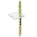 Festool 490120 Splinter Guard
