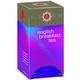 Stash Tea - English Breakfast - 6 Units 20 bag by Stash Tea