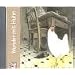 Wunder mit Huhn (Bilderbücher)