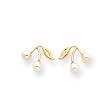 Sardelli - 14k Gold Cultured Pearls with Leaf Post Earrings