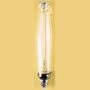 250 Watt HPS Light Bulb