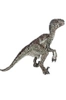 Papo Velociraptor Dinosaur Toy Model