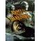 Watch weird movies & TV shows