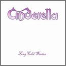 Long Cold Winter [Vinyl]
