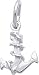 Jewelry : Anchor Charm by Rembrandt Charms