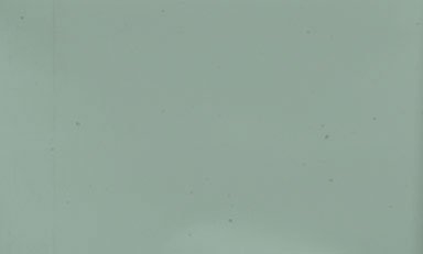 Decora Sage Shelf Liner 12