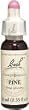 Pine - 20 ml - Liquid