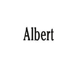 Clearly Charming Name Albert RED HEART Laser Italian Charm Link