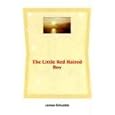 The Little Red Haired Boy