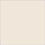 Anita Seamless Underwire Bra (5490) 36C/Champagne