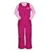The North Face Insulated Snowdrift Bib Pants Toddler Girl's 2012 - 3T