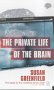 The Private Life of the Brain (Penguin Press Science)