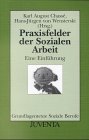 Praxisfelder der Sozialen Arbeit: Eine Einf�hrung - 