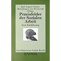 Praxisfelder der Sozialen Arbeit: Eine Einf�hrung (Grundlagentexte Soziale Berufe)