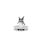 Cuisinart SPB-456-2 blender cutter blade.