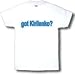 got Kirilenko? Adult T-Shirt
