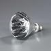 Carlisle Food Service Products White Heat Lamp Bulb 250 Watt